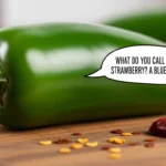 jalapeno jokes