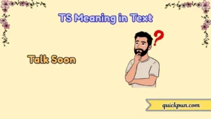 TS Meaning in Text