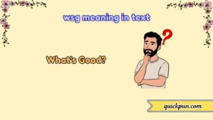 wsg meaning in text