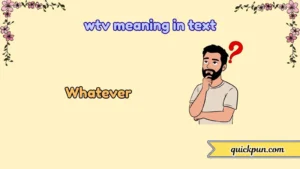 wtv meaning in text