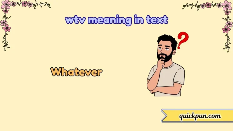 wtv meaning in text