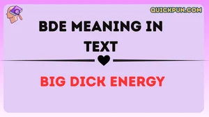 BDE Meaning in Text