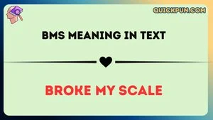 BMS Meaning in Text