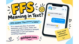 FFS Meaning in Text