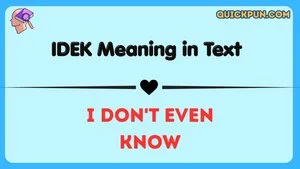 IDEK Meaning in Text
