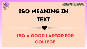 ISO Meaning in Text