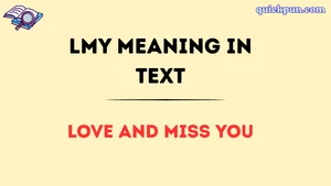 LMY Meaning in Text