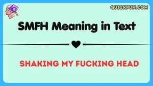SMFH Meaning in Text