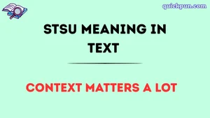 STSU Meaning in Text
