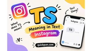 TS Meaning in Text Instagram