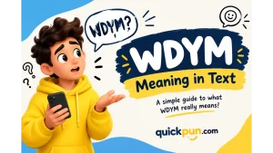 WDYM Meaning in Text