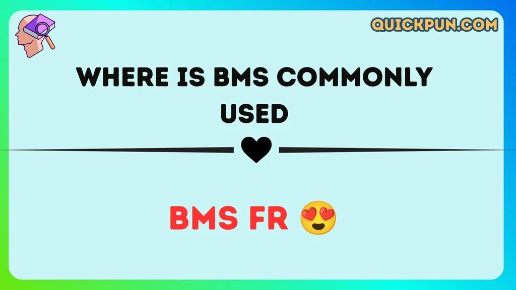 Where Is BMS Commonly Used