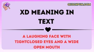 XD Meaning in Text