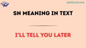 SN Meaning in Text